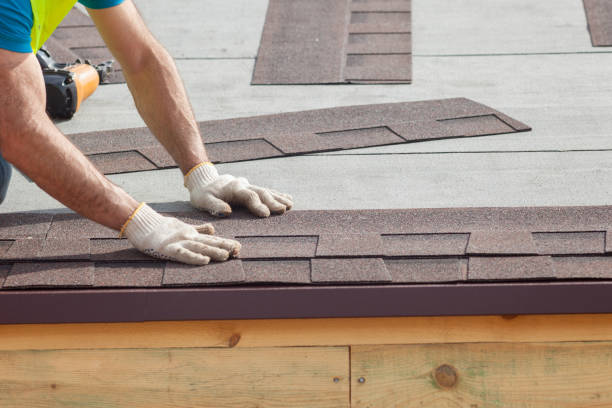 Best Metal Roofing Installation  in High Point, FL